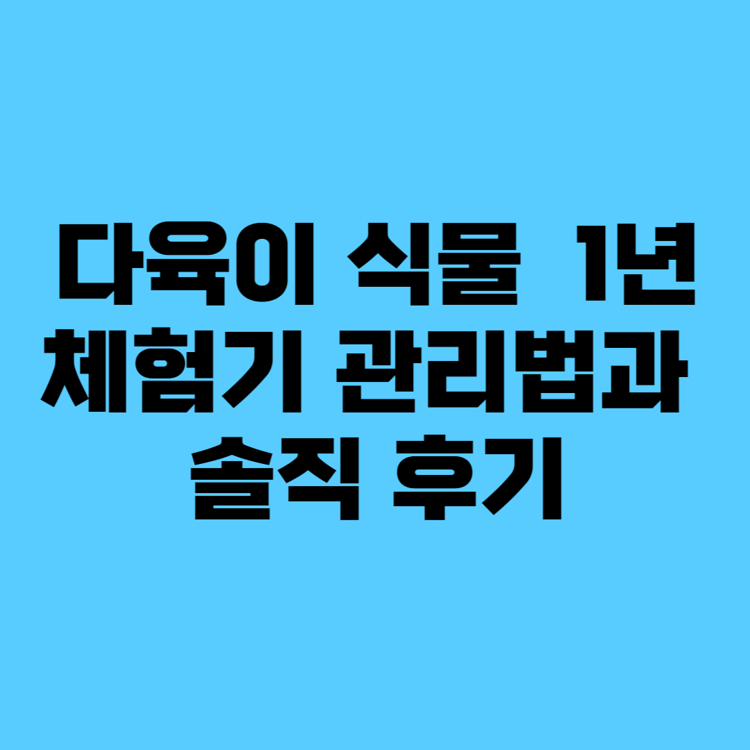 다육이 식물 키우기