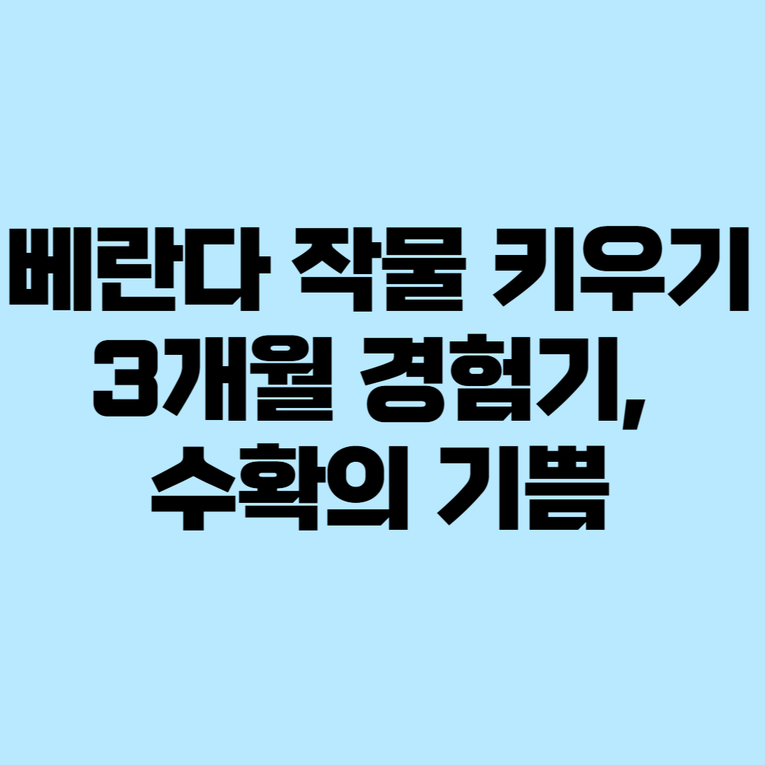 베란다 작물 키우기
