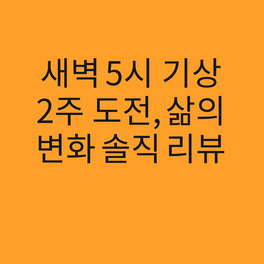 새벽 5시 기상
