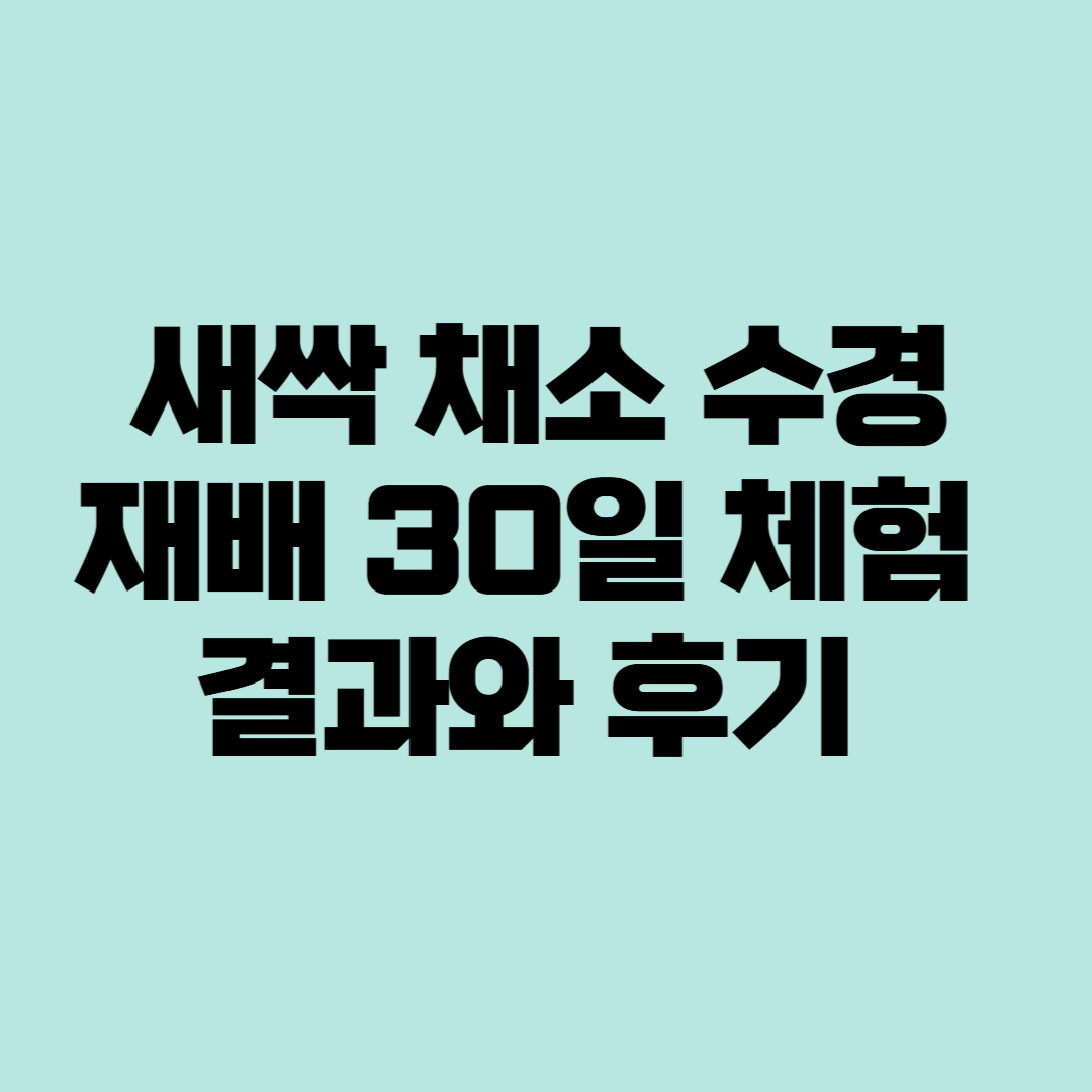 새싹 채소 수경재배