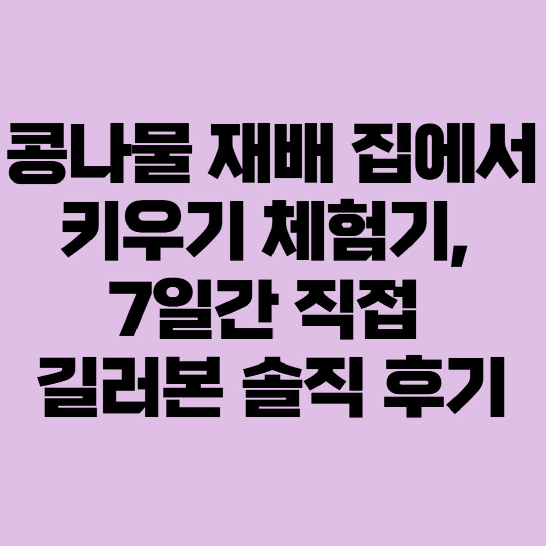 콩나물 재배