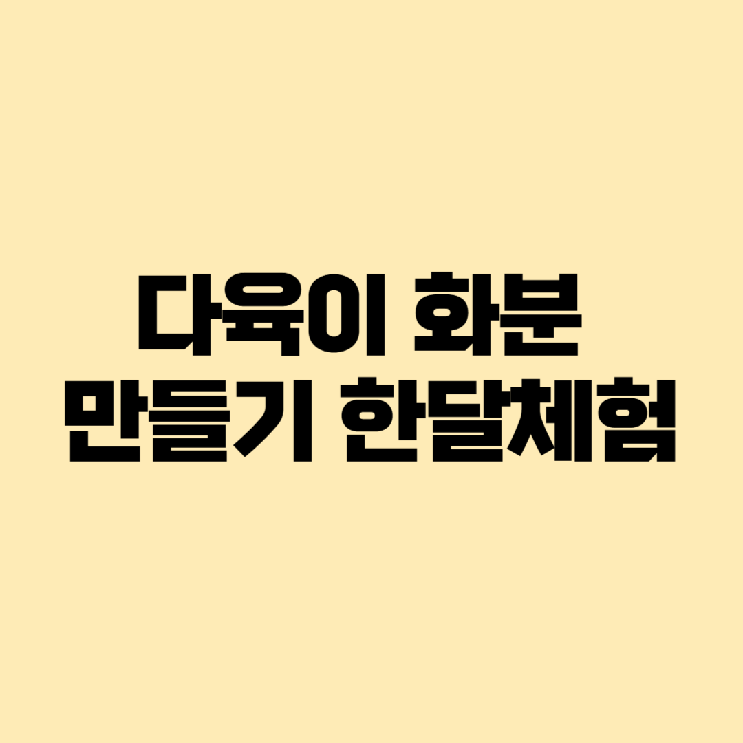 다육이화분 만들기