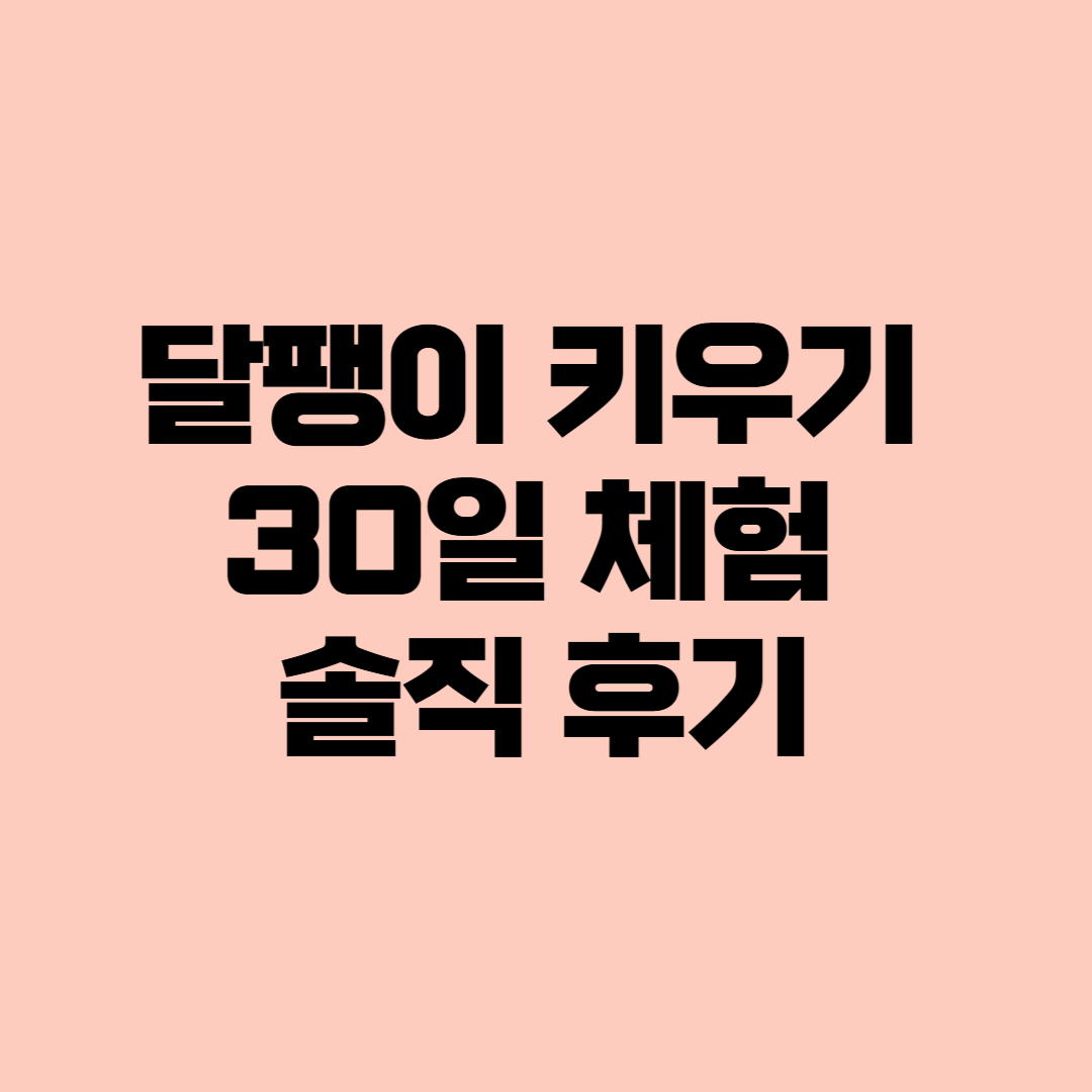 달팽이 키우기